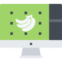 Professional Graphic Designers